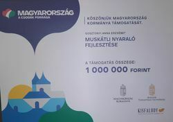 Kisfaludy pályázat, Muskátli nyaraló fejlesztése Kisfaludy pályázat, Muskátli nyaraló fejlesztése